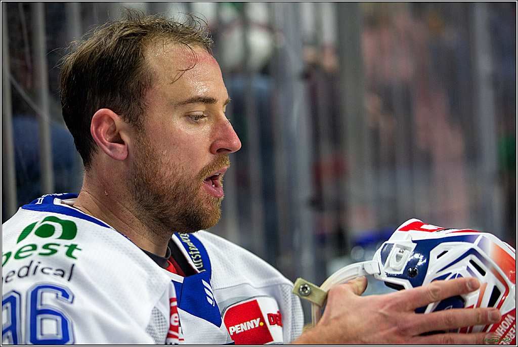 PENNY DEL; Koelner Haie- Schwenninger Wild Wings; Koeln, 06.12.2022